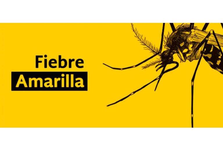 fiebre